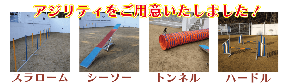 アジリティ