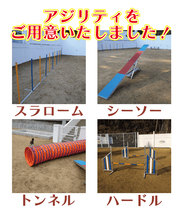 アジリティ